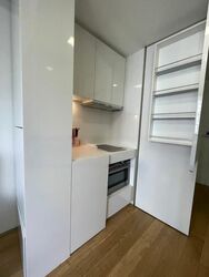 Skysuites@Anson (D2), Apartment #461042861